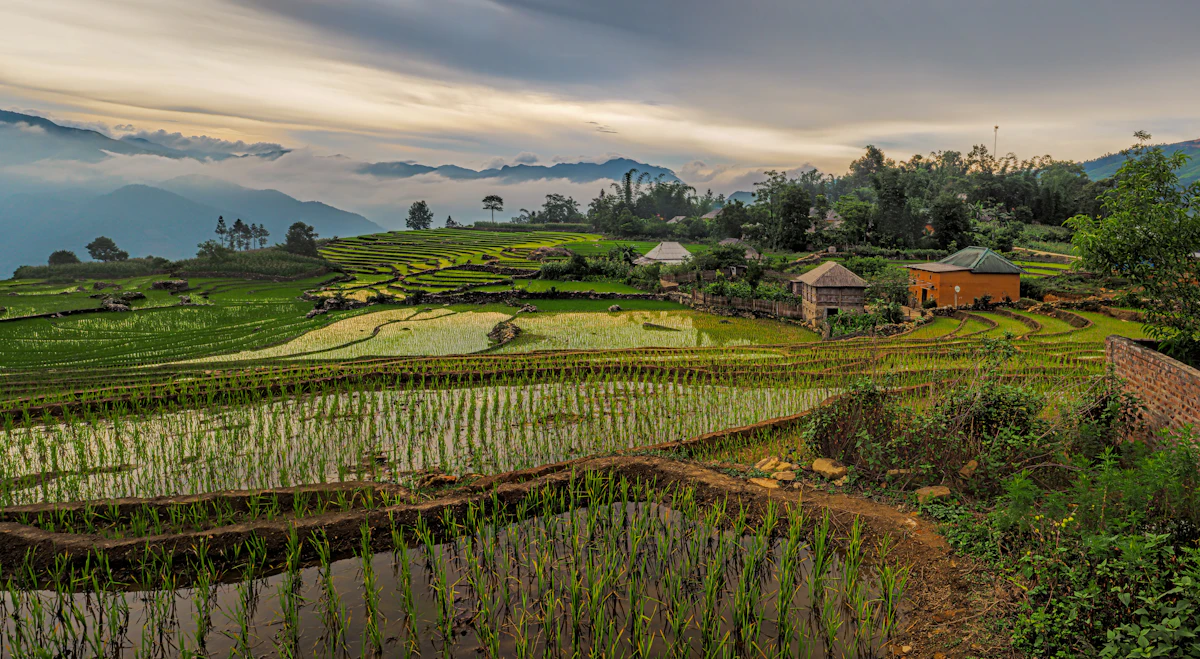 Vùng canh tác nông nghiệp Việt Nam